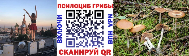 Псилоцибиновые грибы мухоморы  Цивильск 